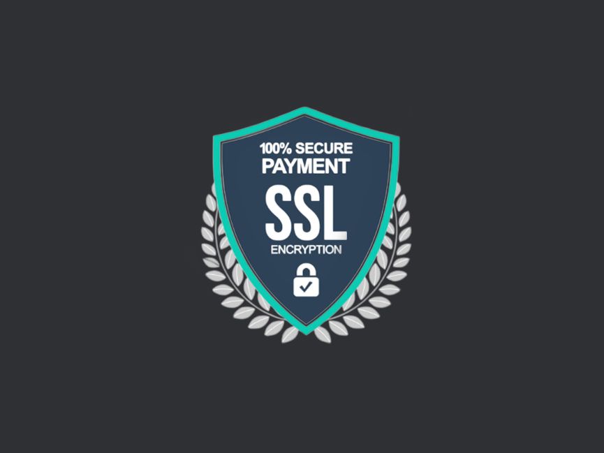Seal for SSL encryption with a padlock